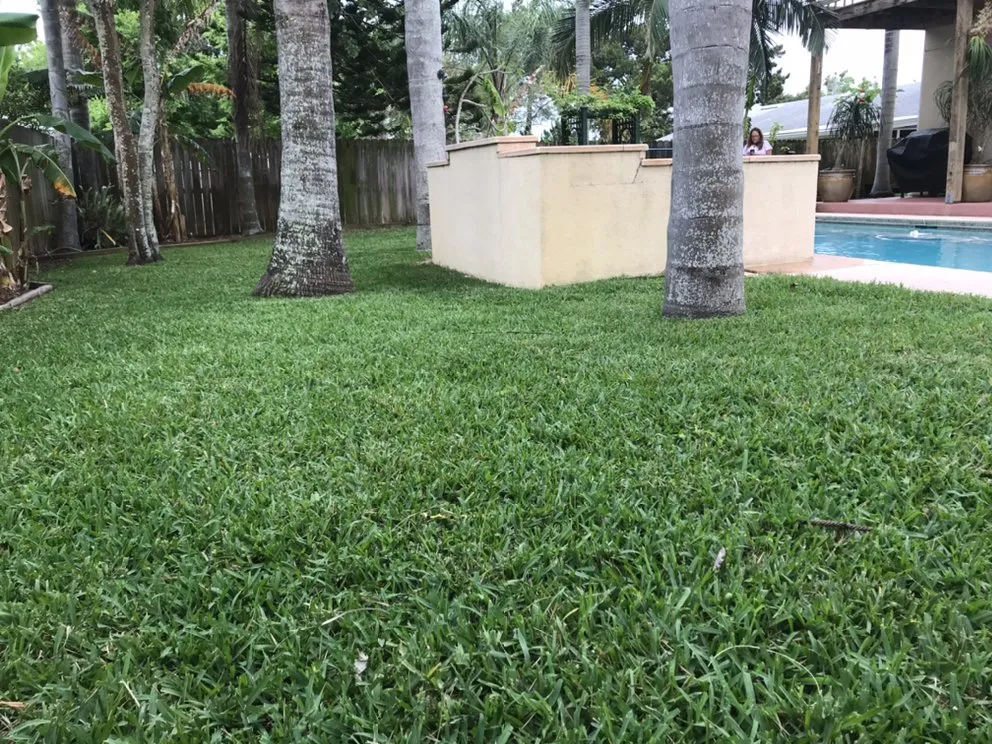 Professional lawn mowing service experts serving St. Augustine, FL - Williams Lawn Care