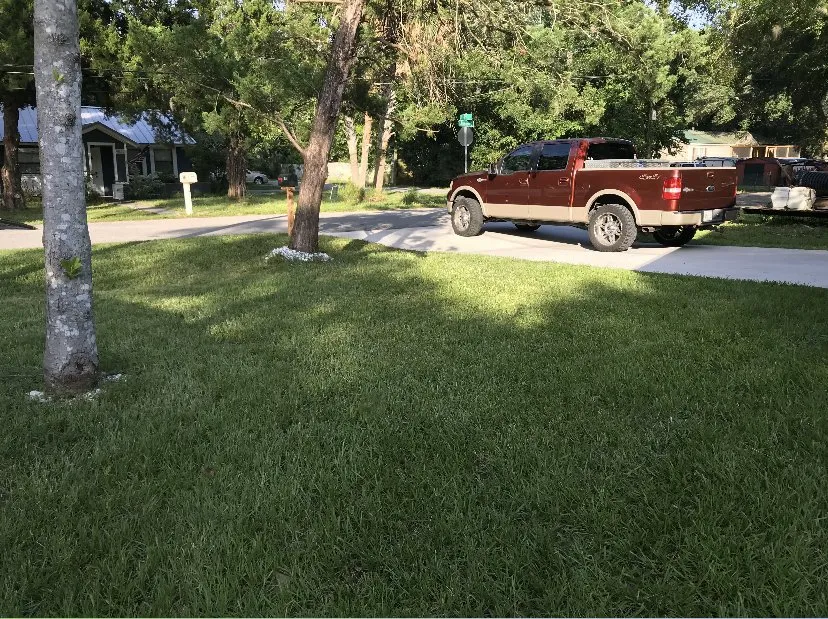 Trusted landscape design for year-round maintenance across St. Augustine, FL - Williams Lawn Care