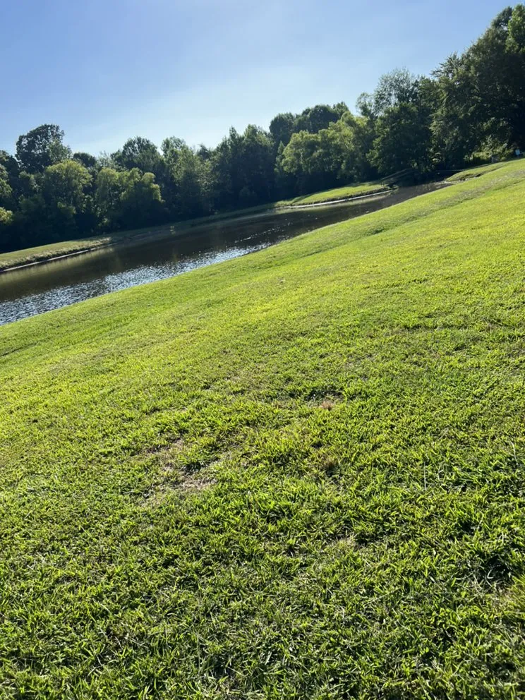 Local landscape installation in Tupelo, MS by Williams Lawn Care