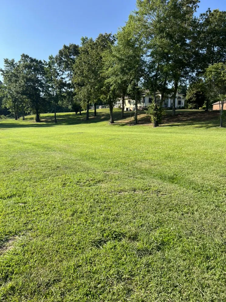 Trusted landscaping services with custom design in Tupelo, MS by Williams Lawn Care