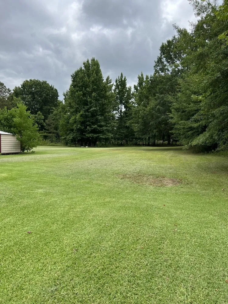 Top-rated garden landscaping in Tupelo, MS by Williams Lawn Care