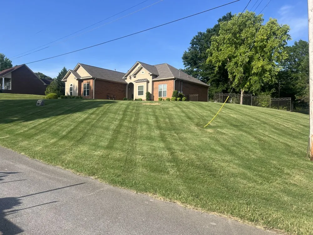 Affordable yard cleanup service for outdoor upgrades across Tupelo, MS - Williams Lawn Care