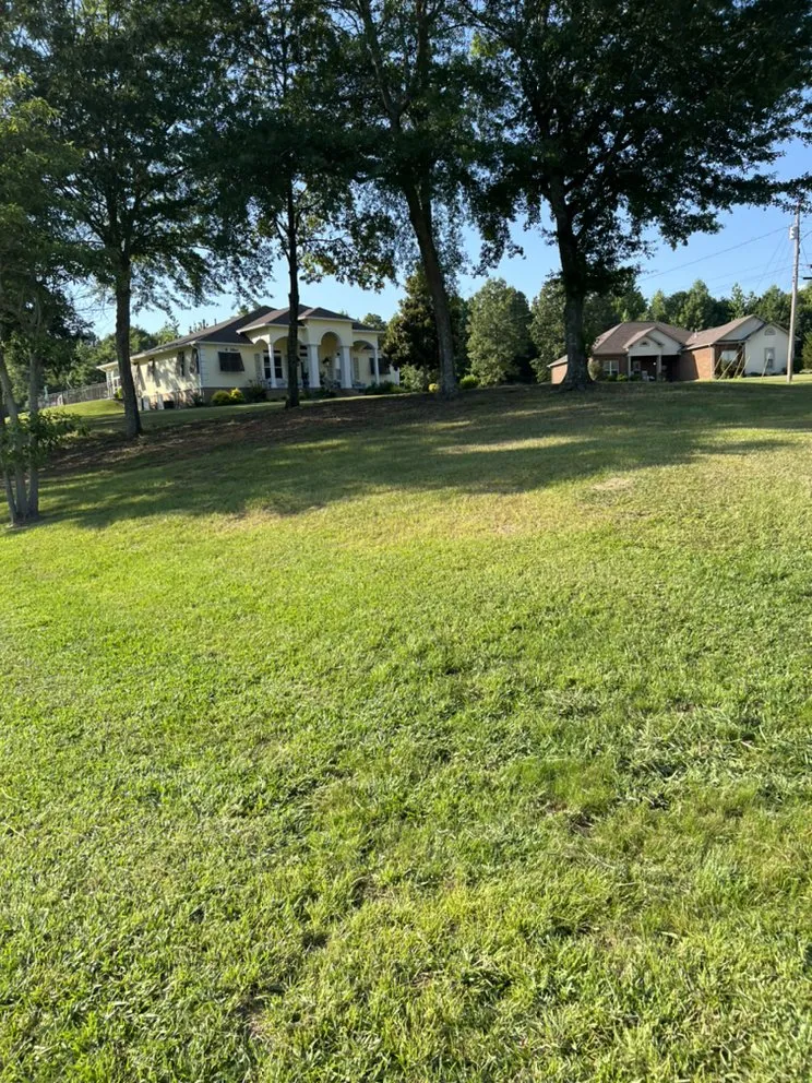 Trusted landscaping services experts serving Tupelo, MS - Williams Lawn Care