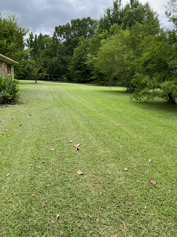 Trusted garden landscaping experts serving Tupelo, MS - Williams Lawn Care