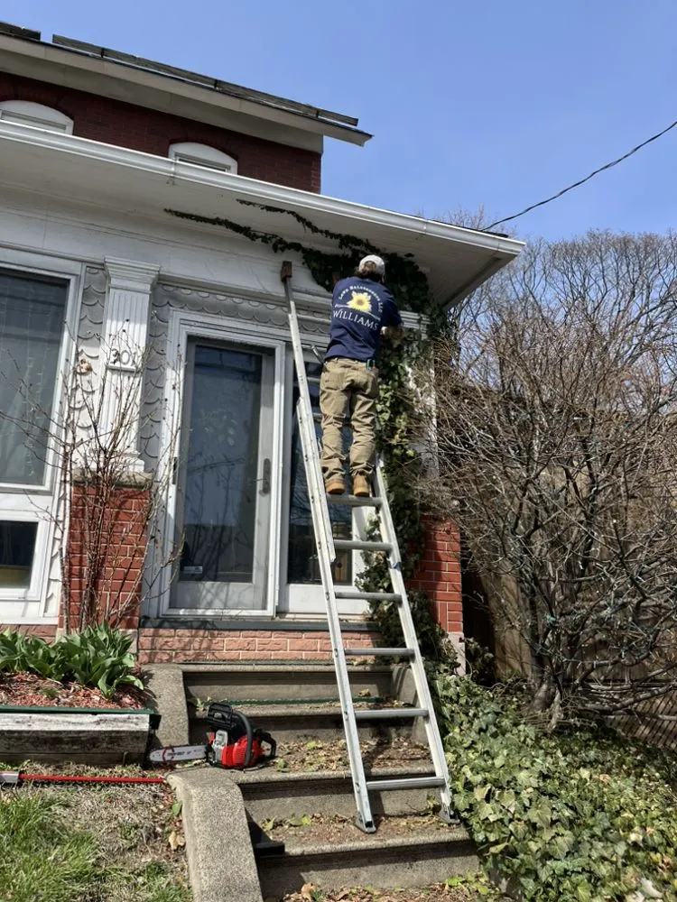 Top-rated landscape design for outdoor upgrades across Pen Argyl, PA - Williams Lawn Maintenance