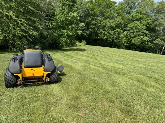 Williams Lawn Management Logo