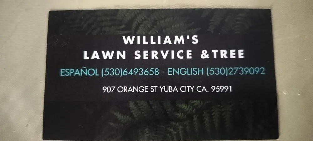 Professional yard cleanup service experts serving Yuba City, CA - Williams Lawn Service & Tree