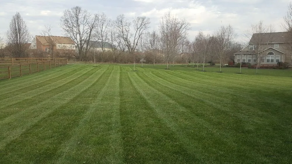 Reliable lawn care service with custom design across Butler County, OH - Williams Lawn Service
