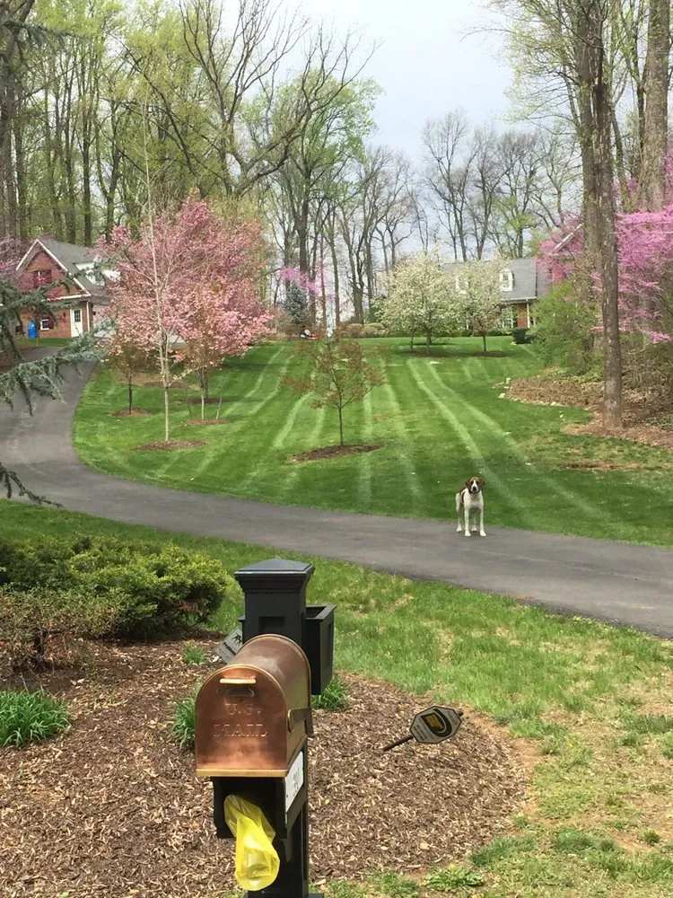 Professional landscape design in Clear Brook, VA - Williams Lawn Service