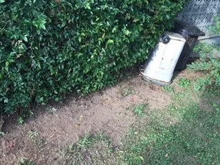 Affordable landscape design for beautiful yards across Hickory, NC - Williams Lawn Service