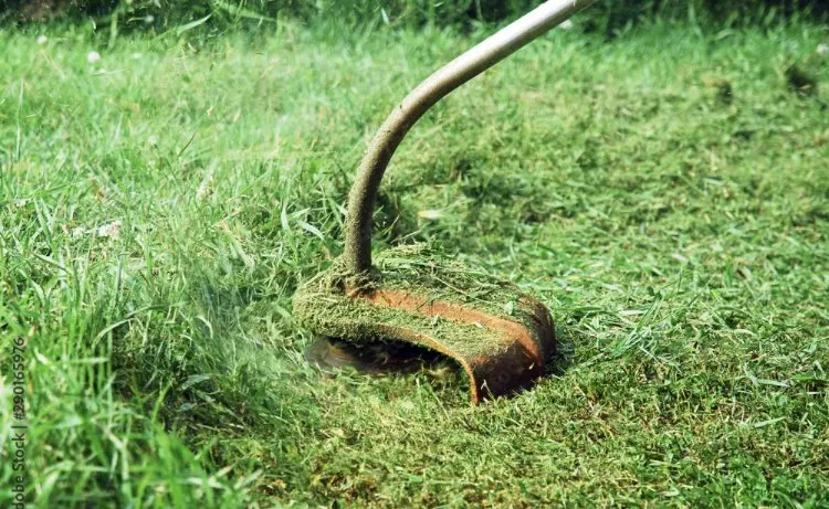 Affordable yard cleanup service with custom design across Windsor, CO - William’s Lawn Services