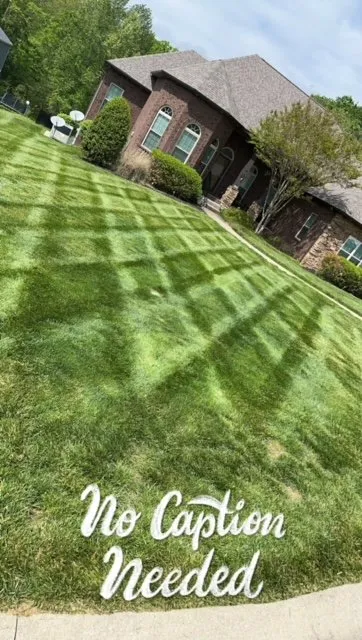 Expert lawn care service in Clarksville, TN by Williams Lawncare & Landscaping