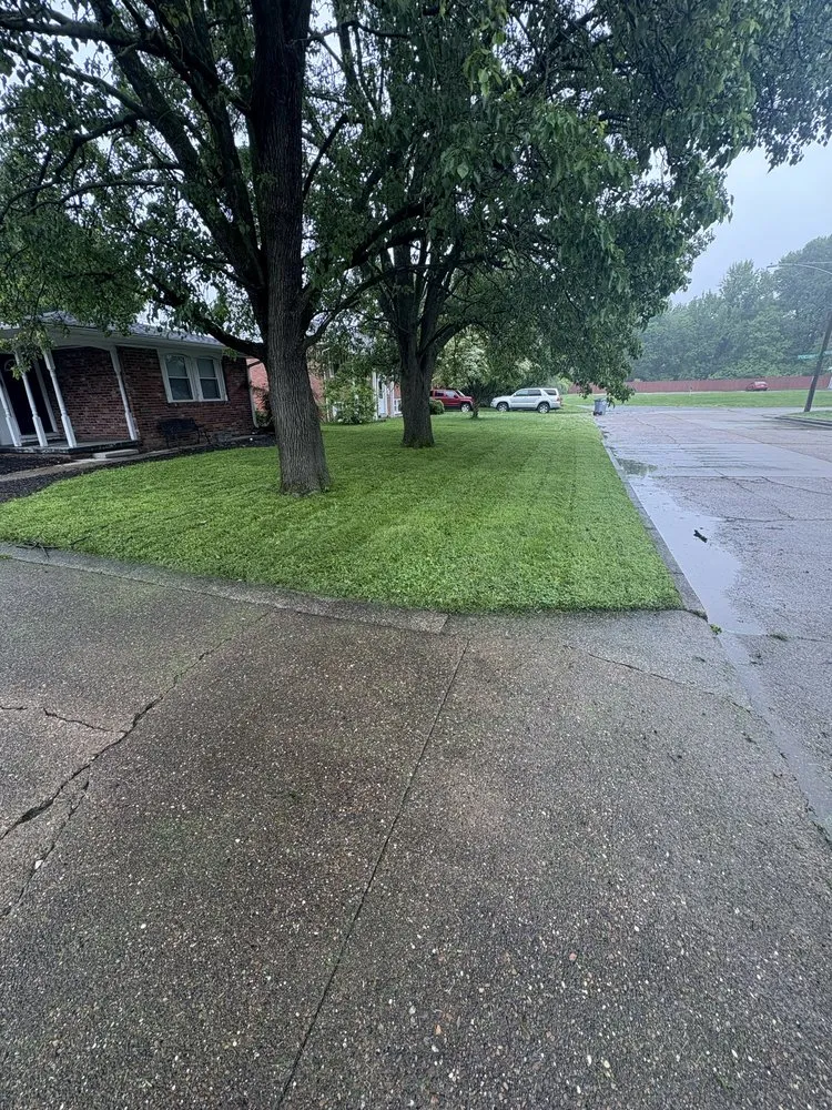 Trusted residential landscaping experts serving Evansville, IN - Williams Lawncare & Landscaping