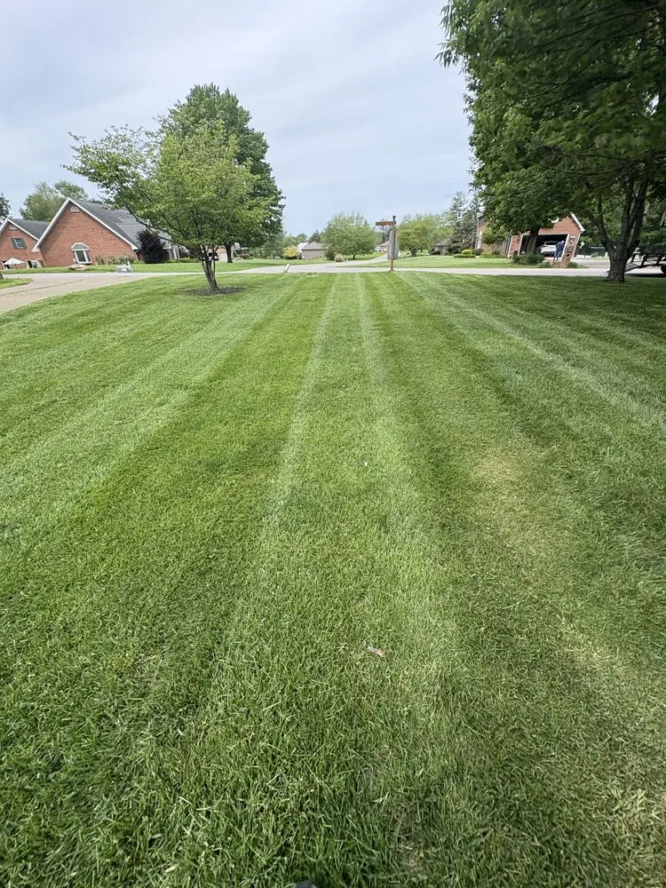 Custom yard maintenance for year-round maintenance across Evansville, IN - Williams Lawncare & Landscaping