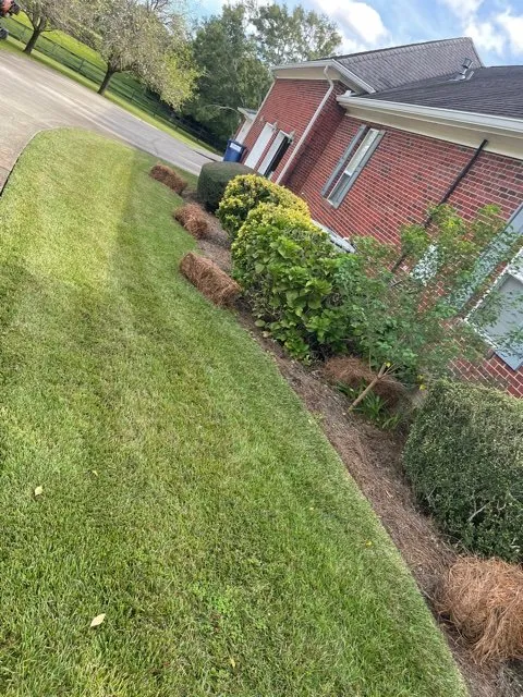 Top-rated lawn mowing service experts serving Moss Point, MS - Williams Lawncare