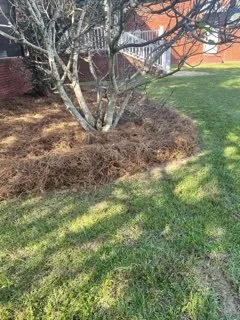 Affordable landscaping services in Moss Point, MS by Williams Lawncare
