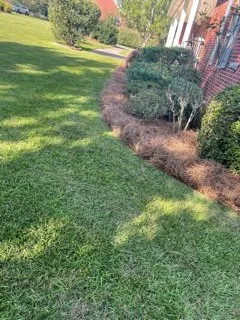 Affordable lawn care service for year-round maintenance in Moss Point, MS by Williams Lawncare