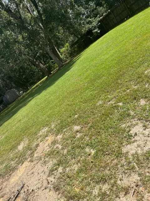 Top-rated garden landscaping in Moss Point, MS by Williams Lawncare