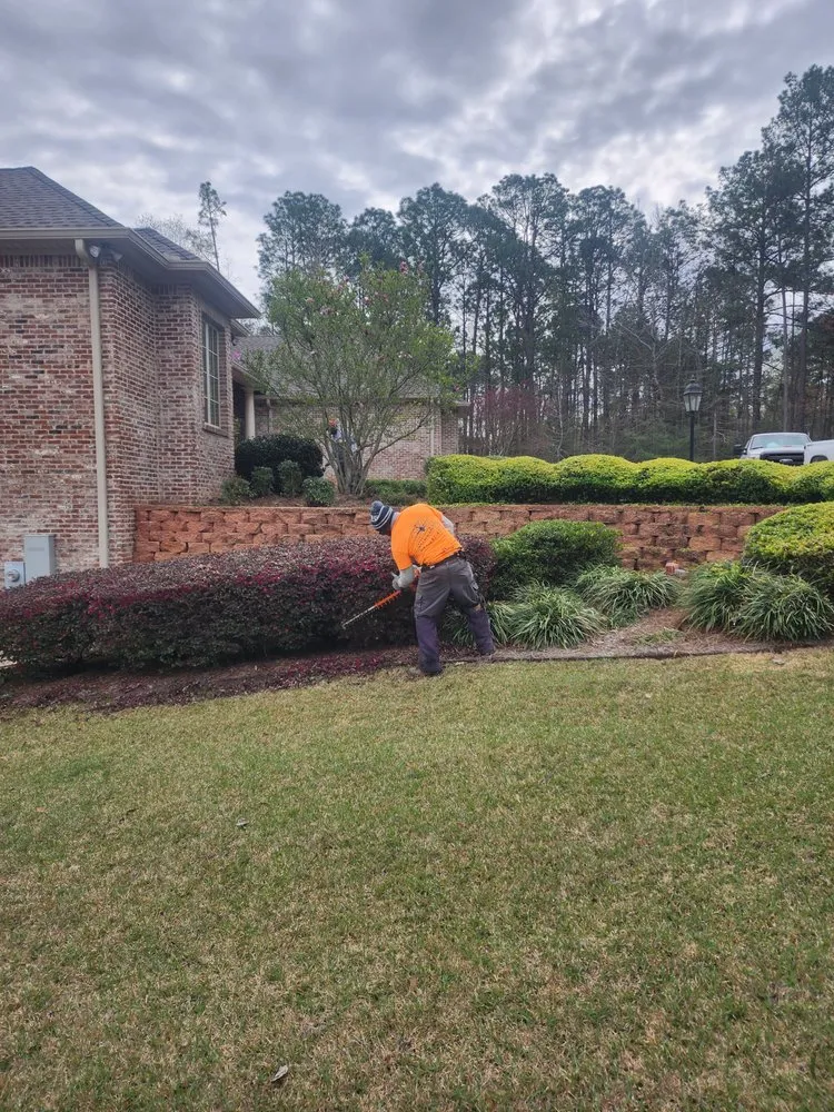 Affordable residential landscaping experts serving Hattiesburg, MS - Williams Lawns & Tree Services