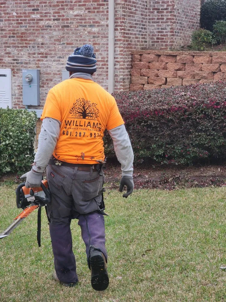 Affordable yard maintenance in Hattiesburg, MS - Williams Lawns & Tree Services
