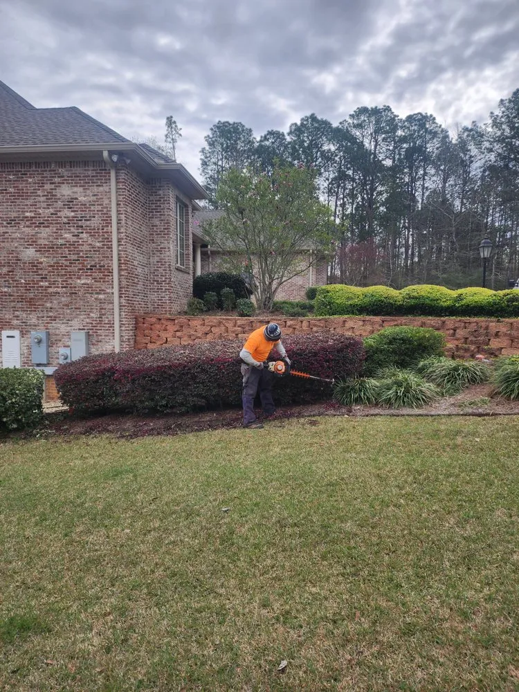 Professional landscape installation in Hattiesburg, MS by Williams Lawns & Tree Services