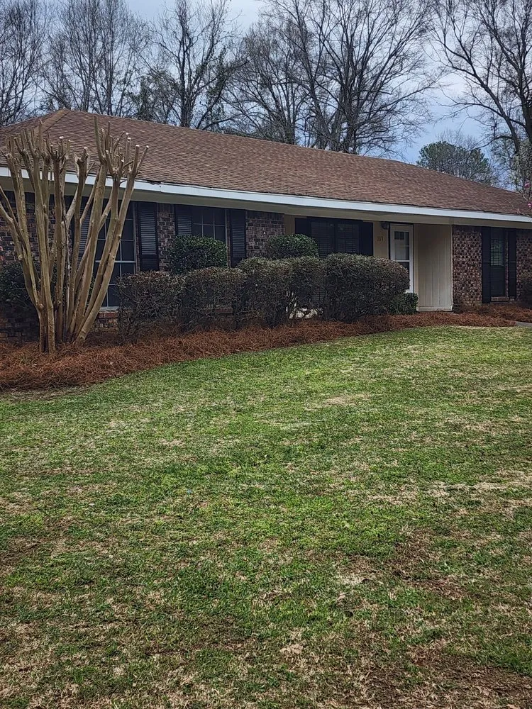 Custom yard cleanup service in Hattiesburg, MS by Williams Lawns & Tree Services