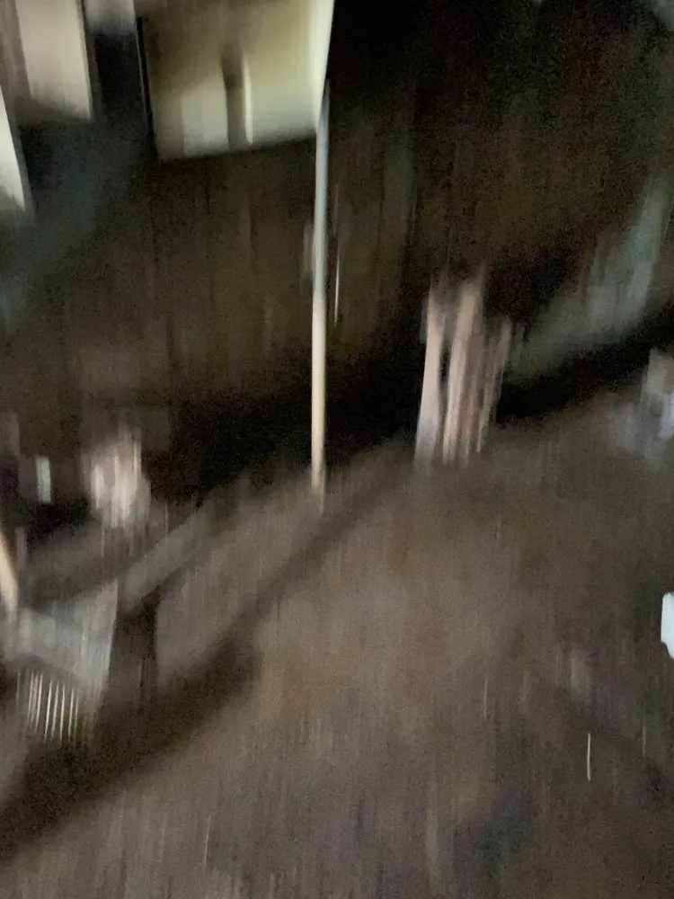 Reliable yard cleanup service in Canton, OH - Williams National Service