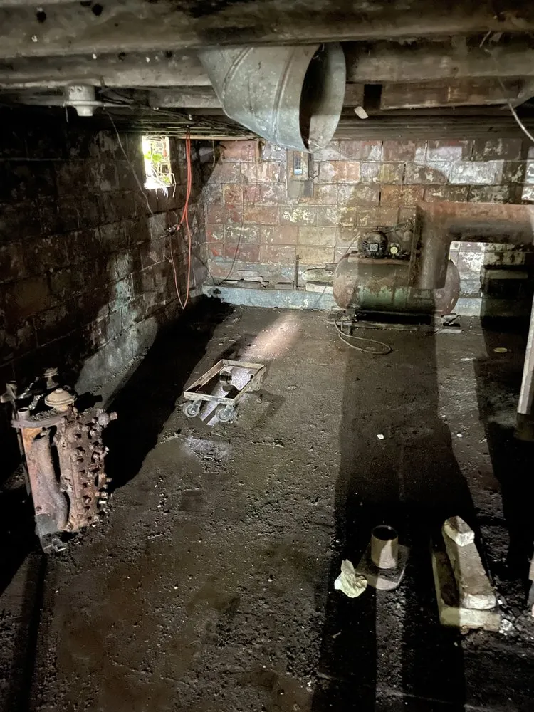 Top-rated yard cleanup service experts serving Canton, OH - Williams National Service