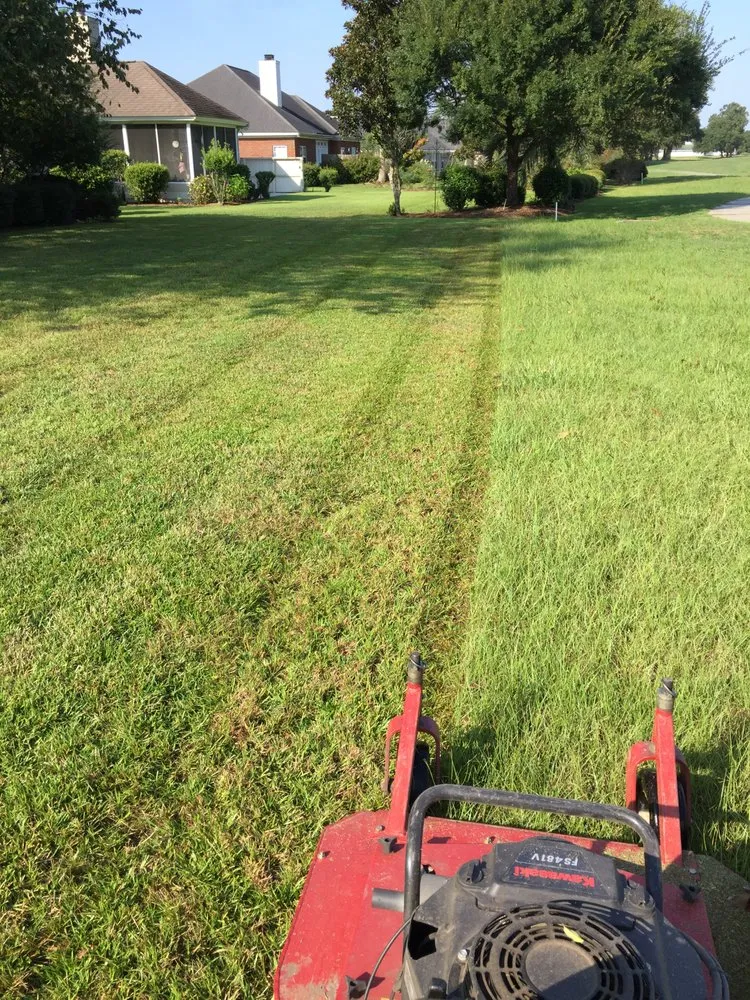 Reliable landscaping services experts serving Gallatin, TN - Williams Outdoor Solutions