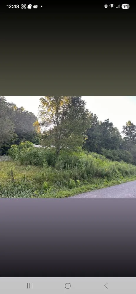 Trusted outdoor landscaping in Cosby, TN by Williams Property Care