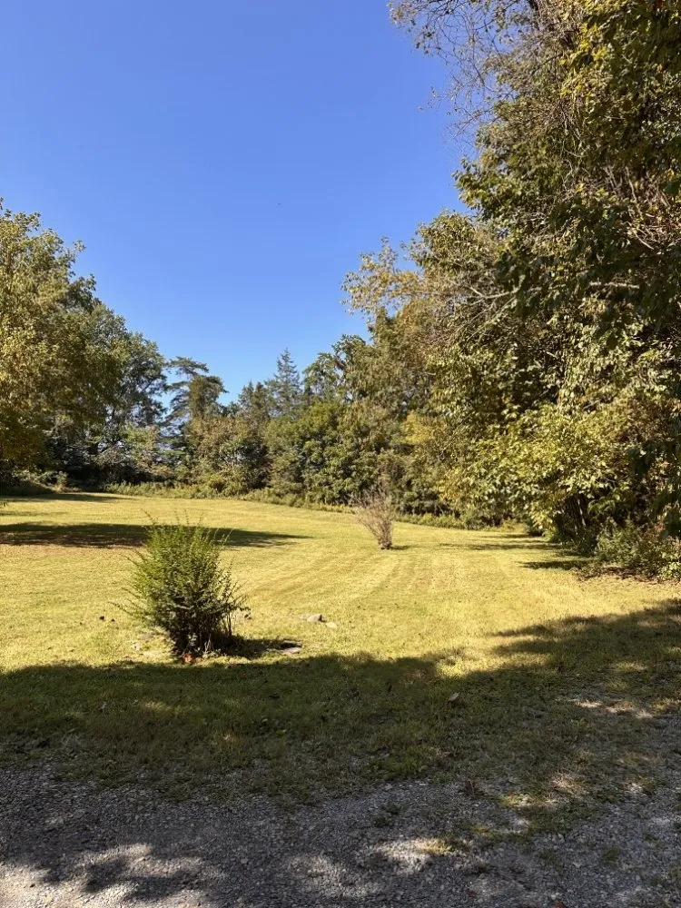 Reliable lawn mowing service in Cosby, TN - Williams Property Care