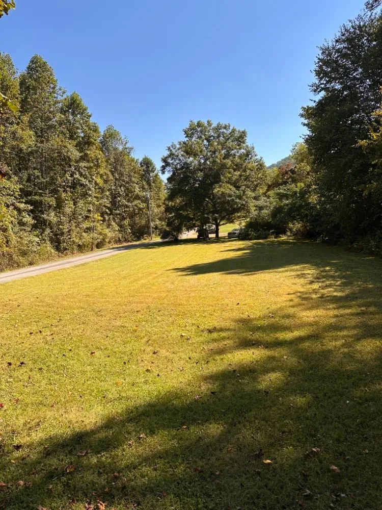 Top-rated landscaping services in Cosby, TN by Williams Property Care