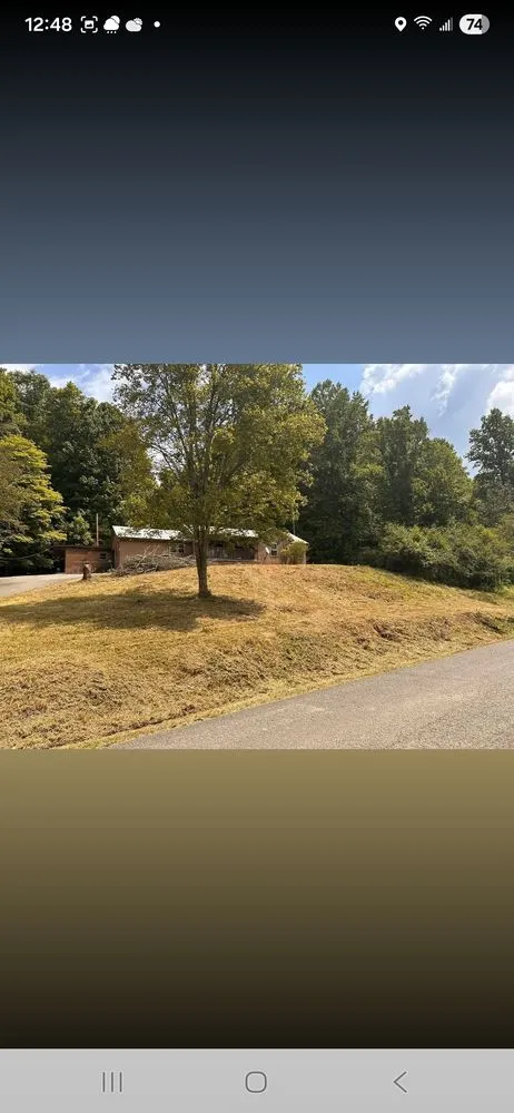 Affordable yard cleanup service for beautiful yards in Cosby, TN by Williams Property Care