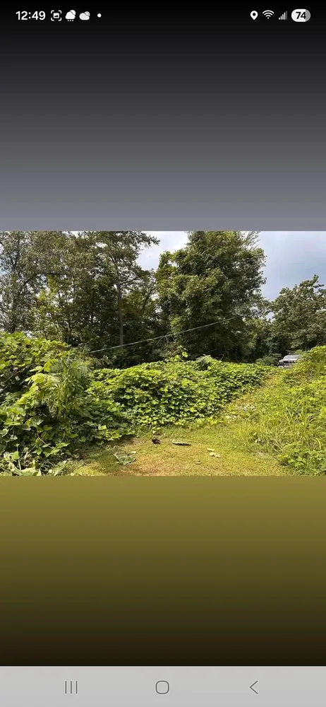 Affordable yard cleanup service experts serving Cosby, TN - Williams Property Care