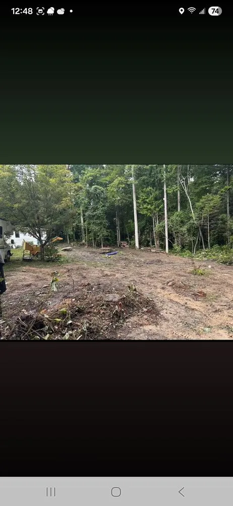 Affordable yard cleanup service in Cosby, TN - Williams Property Care