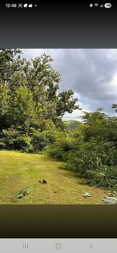 Top-rated lawn mowing service in Cosby, TN by Williams Property Care