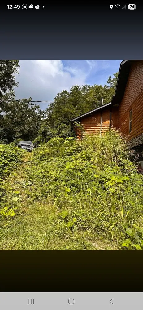 Top-rated yard cleanup service experts serving Cosby, TN - Williams Property Care