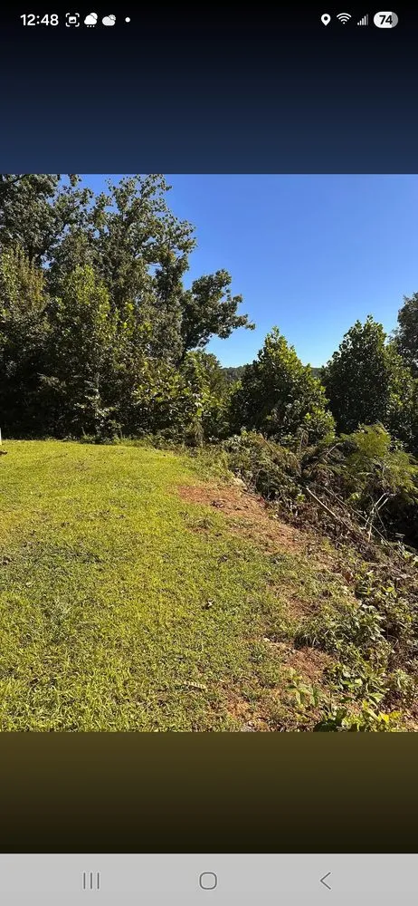 Professional garden landscaping for beautiful yards across Cosby, TN - Williams Property Care