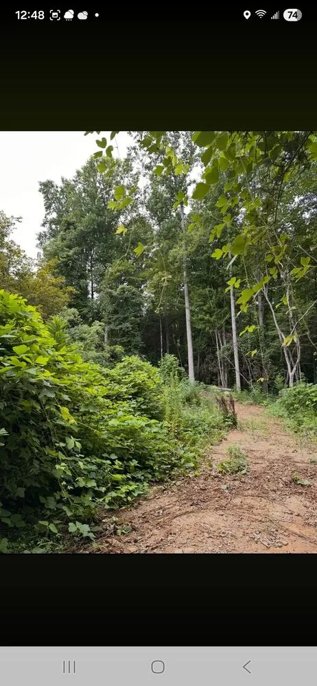 Expert landscaping services experts serving Cosby, TN - Williams Property Care