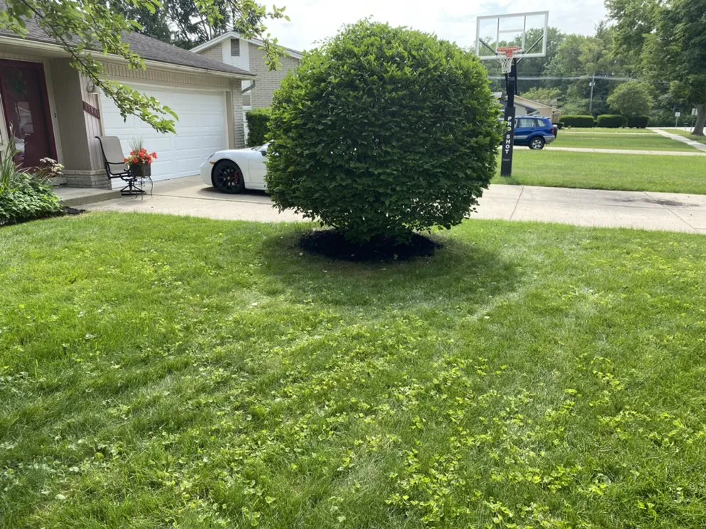 Professional yard maintenance in Pontiac, MI by Williams Property Solutions