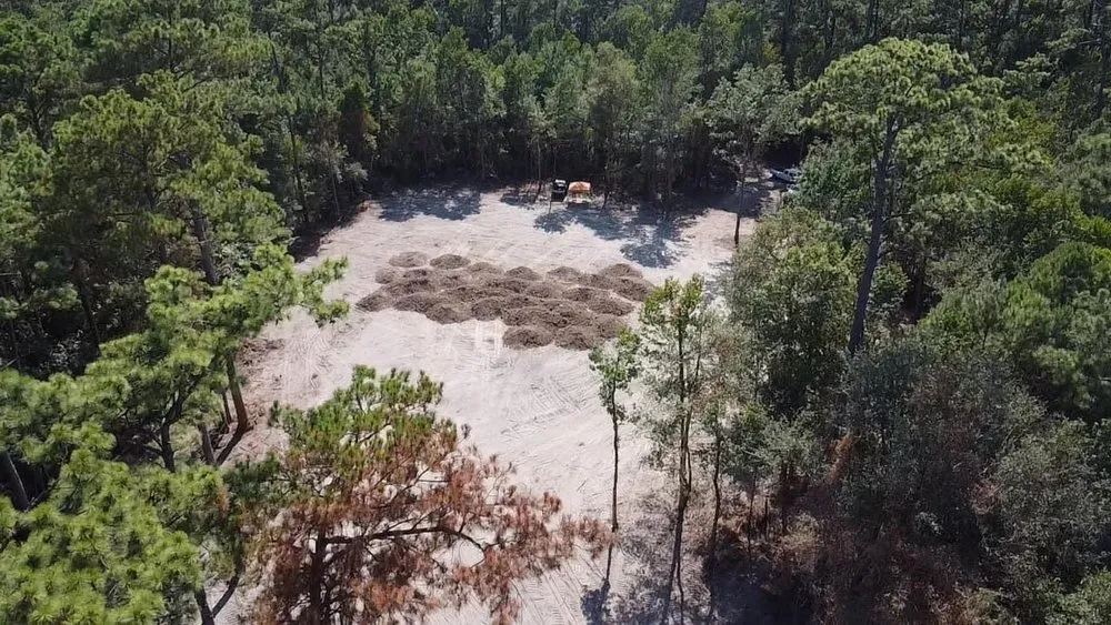 Professional lawn care service for homes across Orange, TX - Williams Rental and Land Services