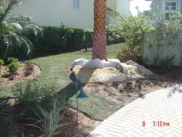 Professional residential landscaping experts serving West Palm Beach, FL - Williams Soils & Sod