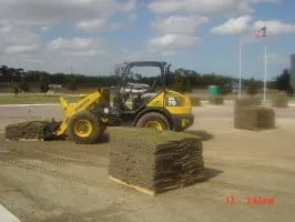 Expert landscape installation in West Palm Beach, FL by Williams Soils & Sod