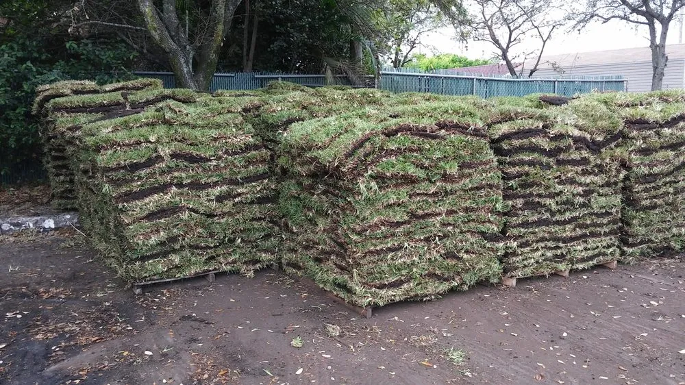 Professional landscaping services in West Palm Beach, FL by Williams Soils & Sod