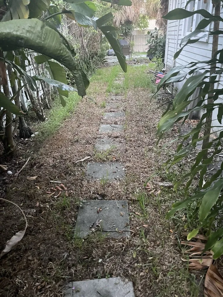 Trusted yard cleanup service in West Palm Beach, FL by Williams Soils & Sod