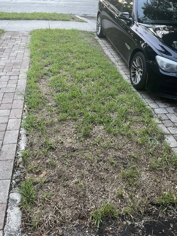Affordable lawn mowing service in West Palm Beach, FL - Williams Soils & Sod