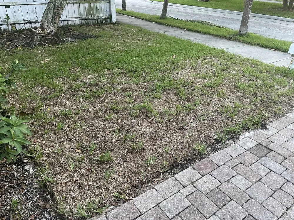 Affordable yard maintenance in West Palm Beach, FL - Williams Soils & Sod