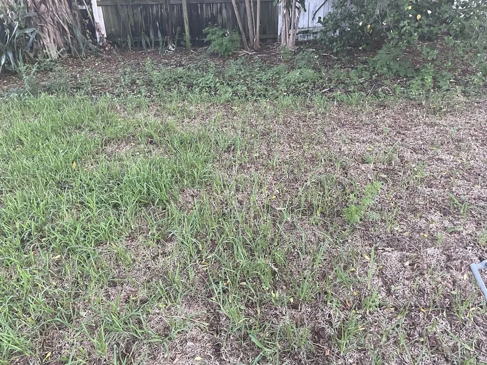 Top-rated landscape design for year-round maintenance in West Palm Beach, FL by Williams Soils & Sod