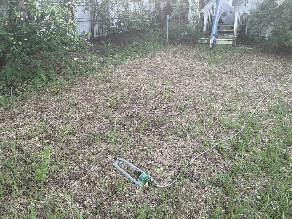 Expert lawn care service in West Palm Beach, FL by Williams Soils & Sod