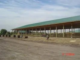 Reliable garden landscaping experts serving West Palm Beach, FL - Williams Soils & Sod